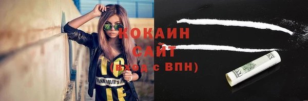 дживик Нея
