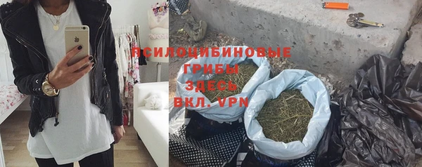 мяу мяу мука Шадринск