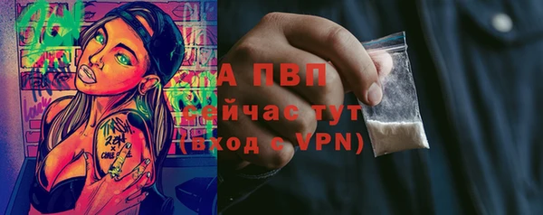 спиды Нефтекумск