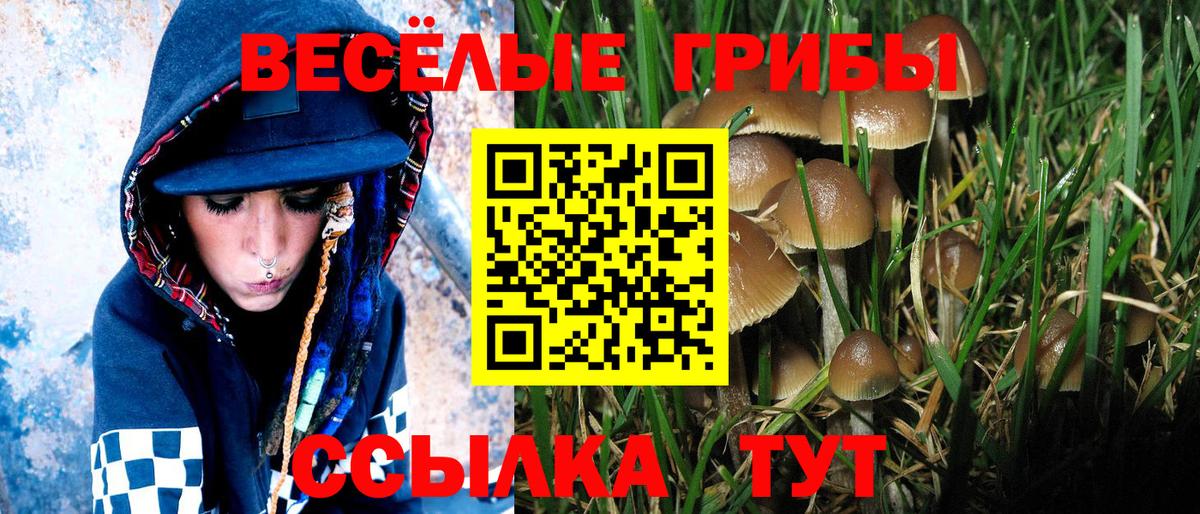 Галлюциногенные грибы MAGIC MUSHROOMS  Вход с VPN  Луховицы  Псилоцибиновые грибы Cubensis 