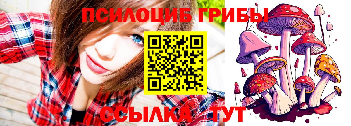 Галлюциногенные грибы мицелий Луховицы