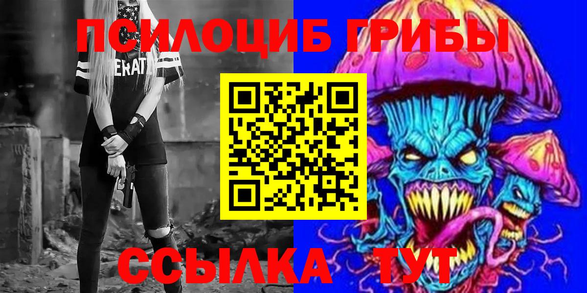 Псилоцибиновые грибы Psilocybine cubensis  Луховицы 